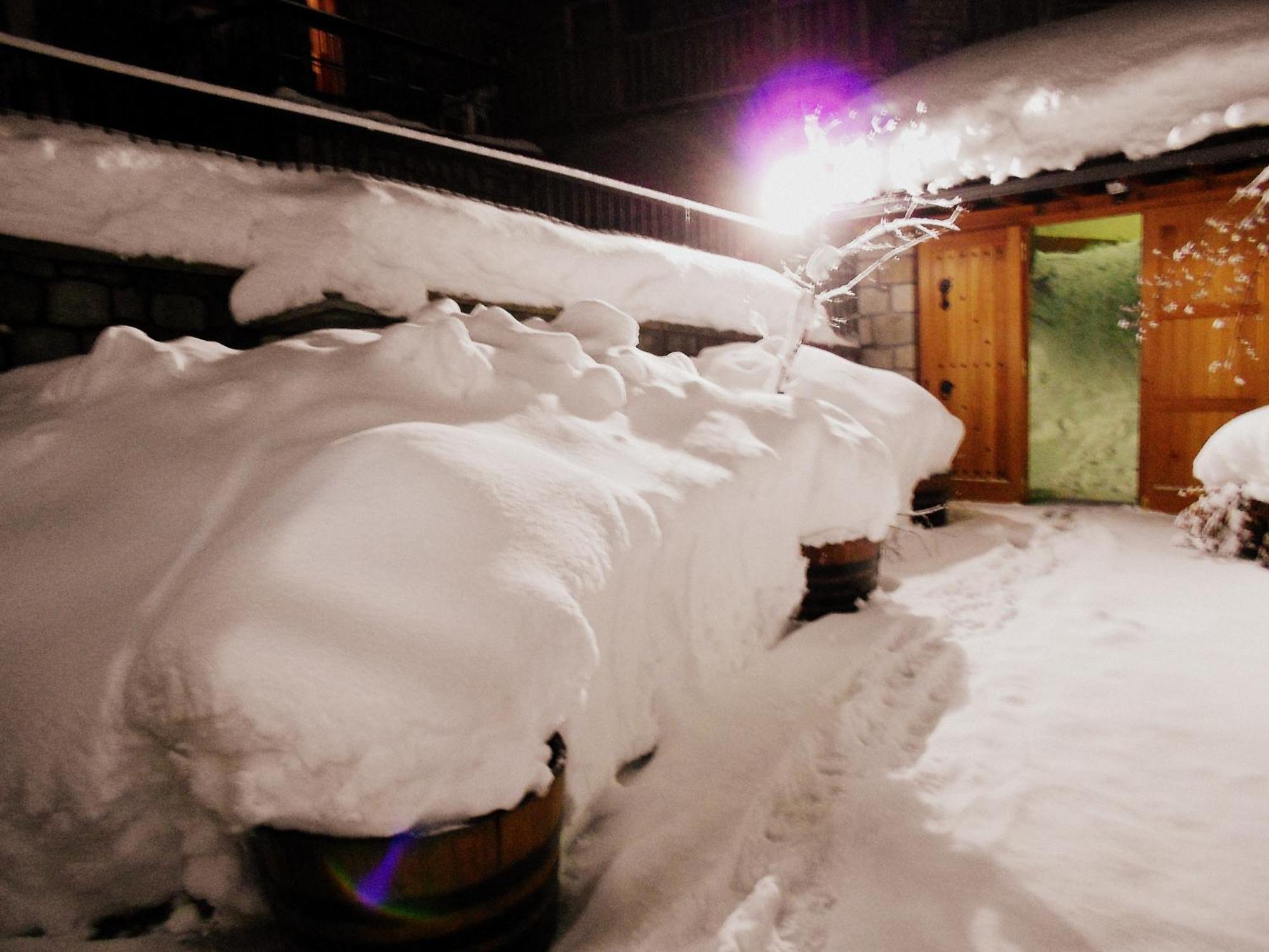 Hotel Olympic Metsovo Exterior photo